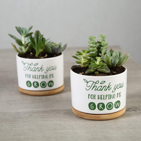 Ceramic Succulent Plant Pot - Teacher Appreciation Gift